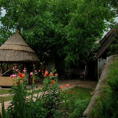 Natura Vendeghaz Pazmand Εξωτερικό φωτογραφία